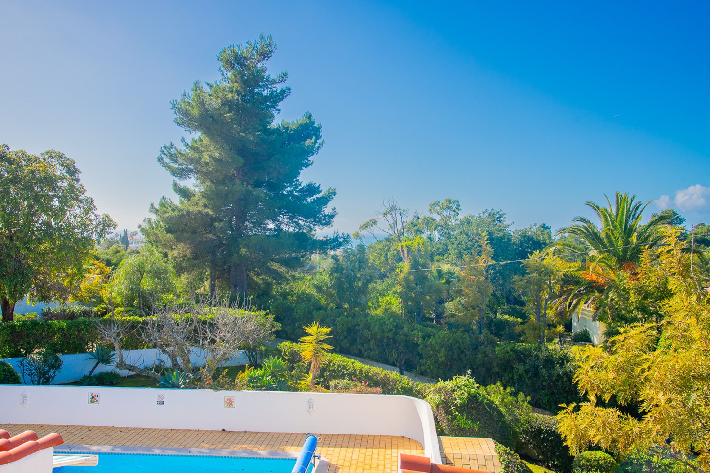 A swimming pool with a view of a lush garden and tall trees.