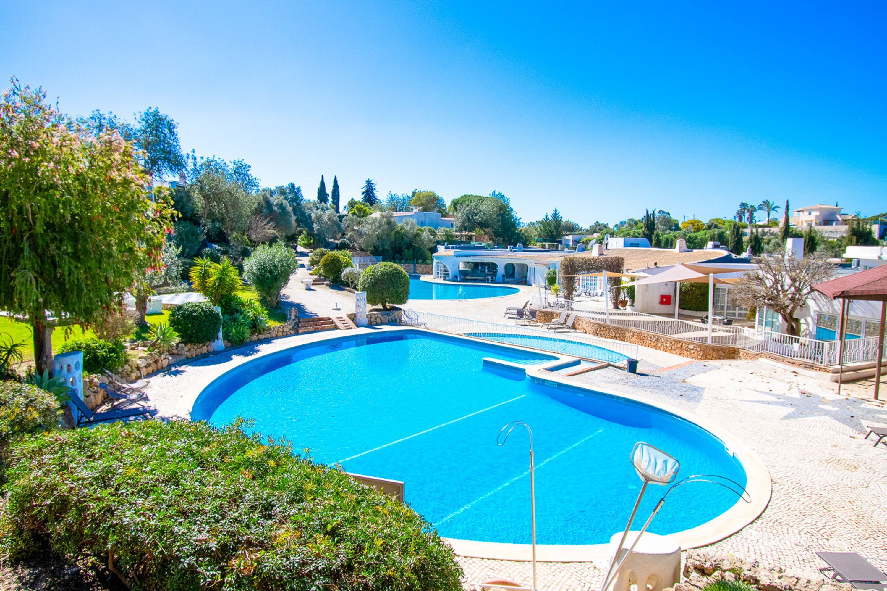 A large, curved swimming pool with a sun terrace, surrounded by lush greenery and modern buildings.