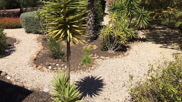 Un jardín con diversos tipos de plantas y un sendero de grava.