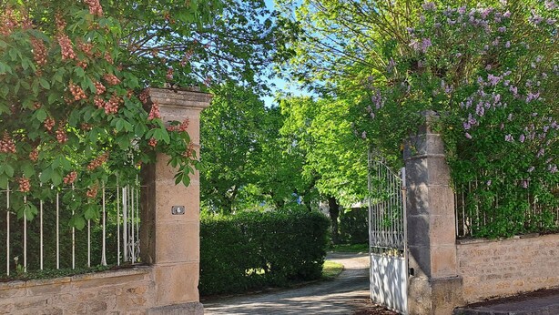 Una entrada vigilada con pilares de piedra y un portón metálico, rodeada de exuberante vegetación y árboles en flor.