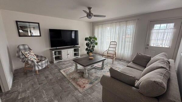 TV connectée, cheminée, livres