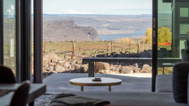Ein Zimmer mit großem Fenster und Blick auf einen Weinberg und sanfte Hügel in der Ferne.