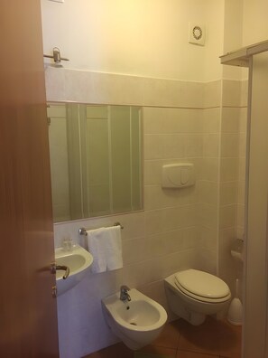 Hair dryer, bidet, towels - Pool, Garden & View, 4 km from Tropea (Calabria)
