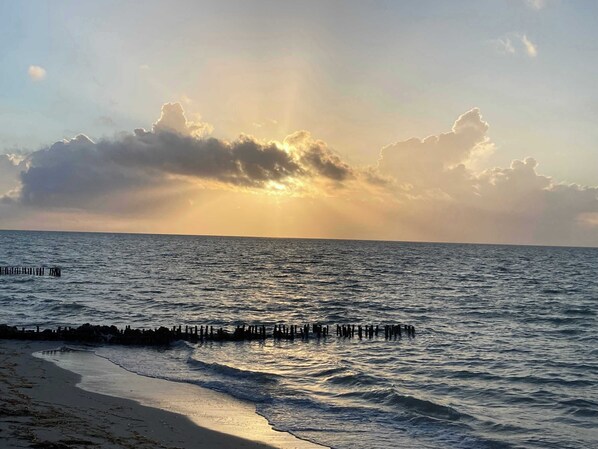Tæt på stranden