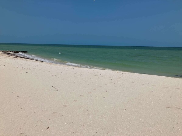 Nära stranden