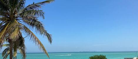 Playa en los alrededores