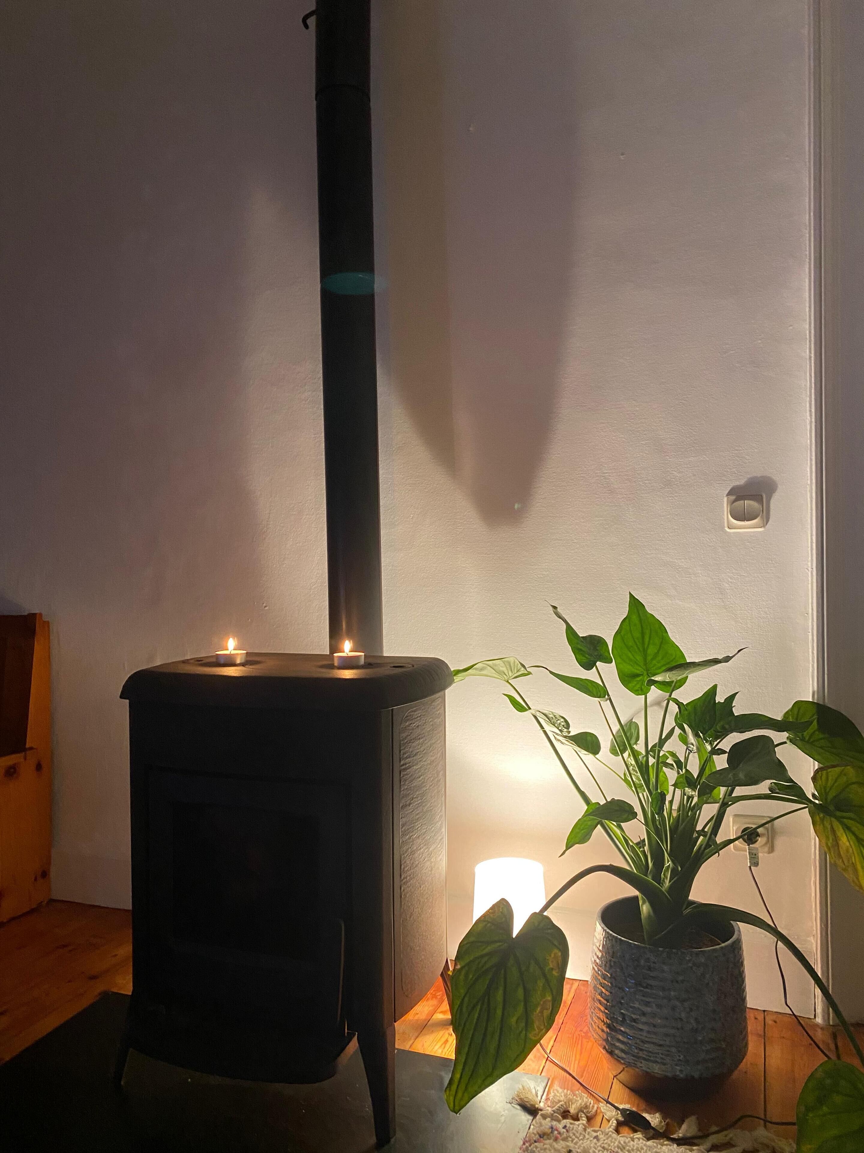 A room with a wood-burning stove, a potted plant, and a small table.