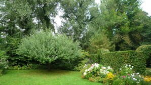 Un jardin bien entretenu, agrémenté de diverses plantes à fleurs et d’un arbuste taillé avec soin.