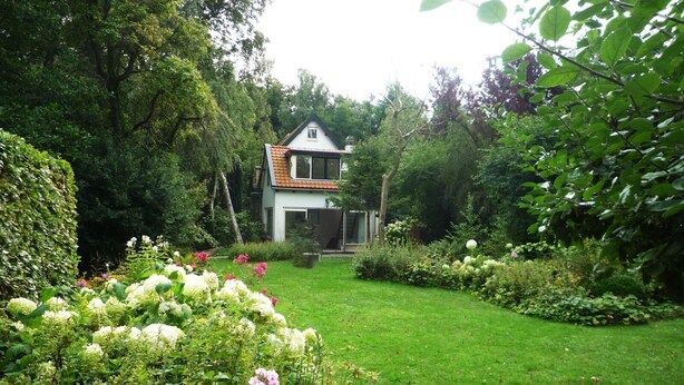 Une maison entourée d’une végétation luxuriante et de plantes en fleurs.