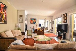 Télévision, cheminée, chaîne hi-fi