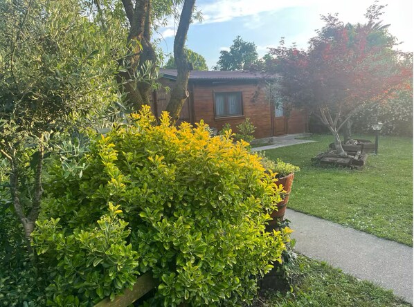 A wooden house with a small front yard, a pathway leading to the entrance, and a variety of shrubs and trees around.