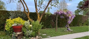 Charming chalet with WiFi and AC in lovely Rubano