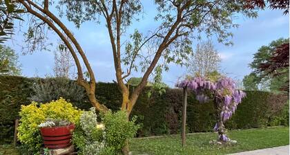 Charming chalet with WiFi and AC in lovely Rubano