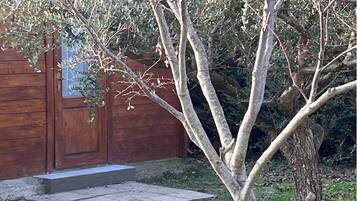 Una puerta de madera con un panel de vidrio, un sendero de piedra que lleva a un árbol y un área cubierta de césped.