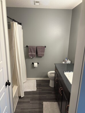 Hair dryer, towels, soap, toilet paper