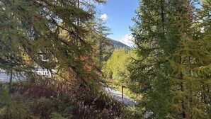 Une zone boisée avec une route, un panneau indicateur et une montagne en arrière-plan.