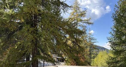 Quiet Studio in Les Orres, steps from the slopes