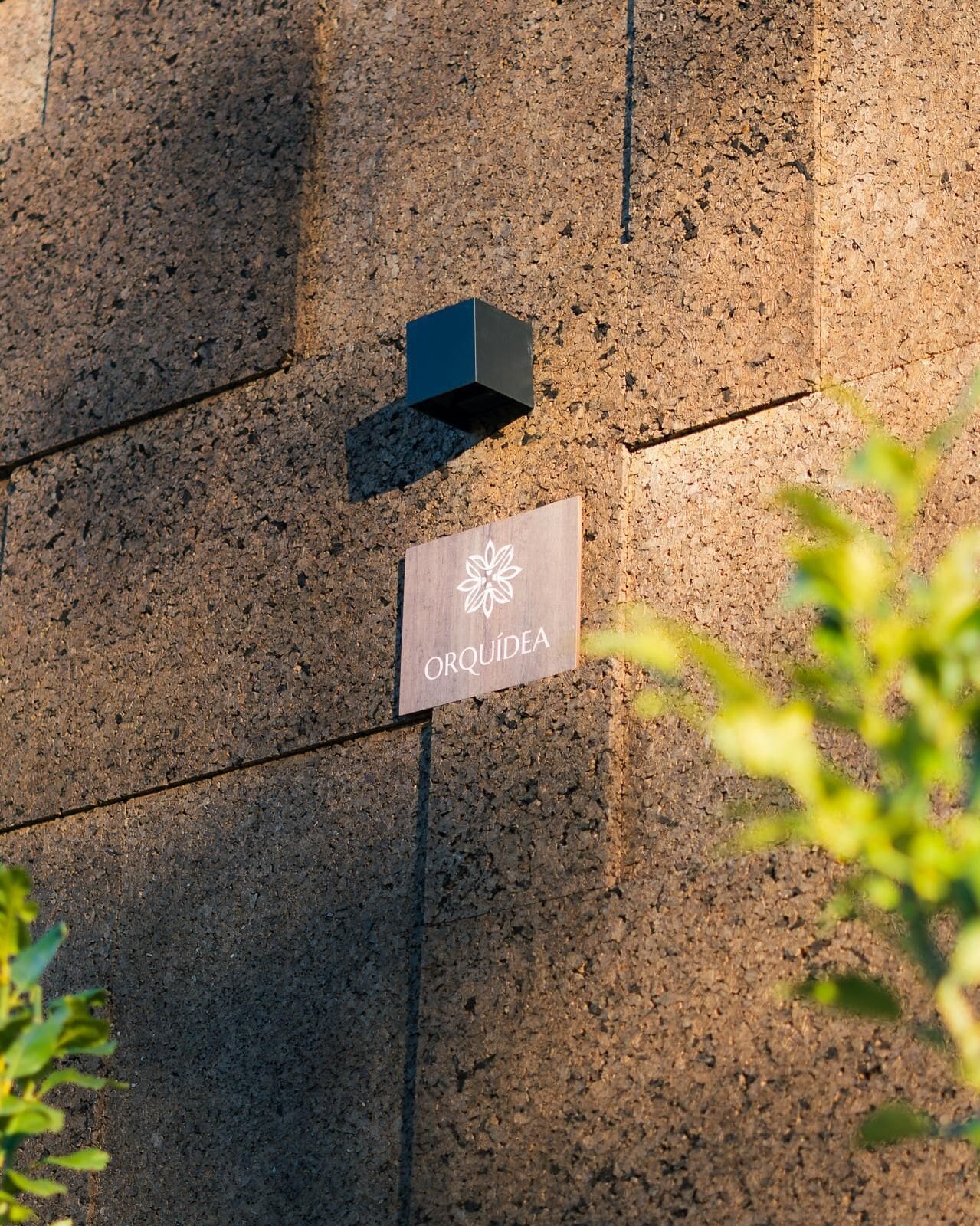 A sign with the text "ORQUIDEA" on a textured wall.