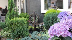 A garden with various plants and a decorative wheel.
