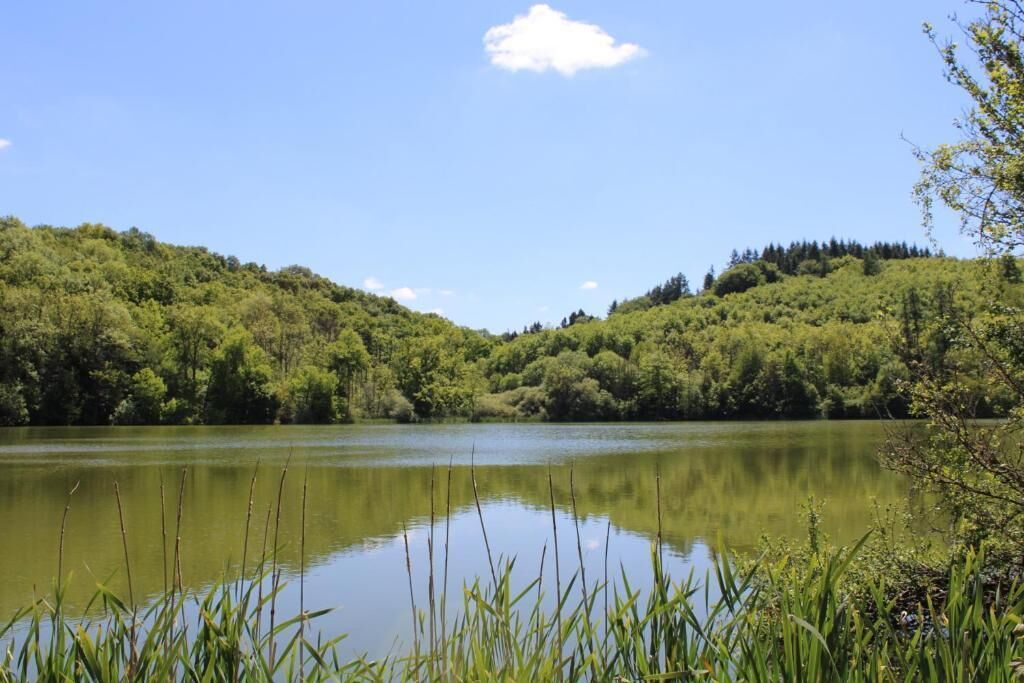 A calm lake surrounded by lush green hills.