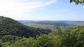 Ein weitreichender Blick auf eine hügelige Landschaft mit dichten Wäldern und einer Stadt in der Ferne.