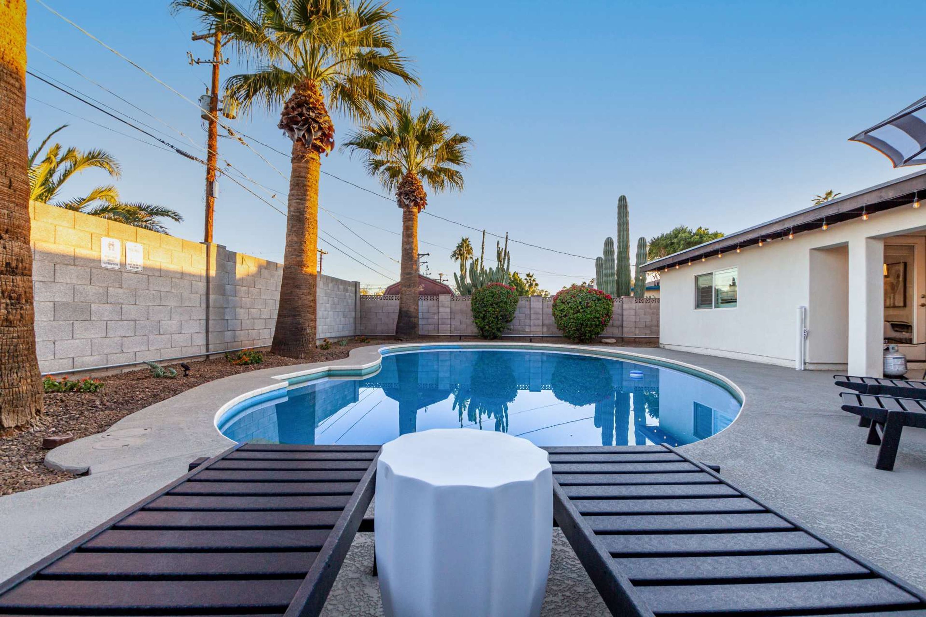 Une piscine entourée de chaises longues, de palmiers et, au fond, d’un cactus.