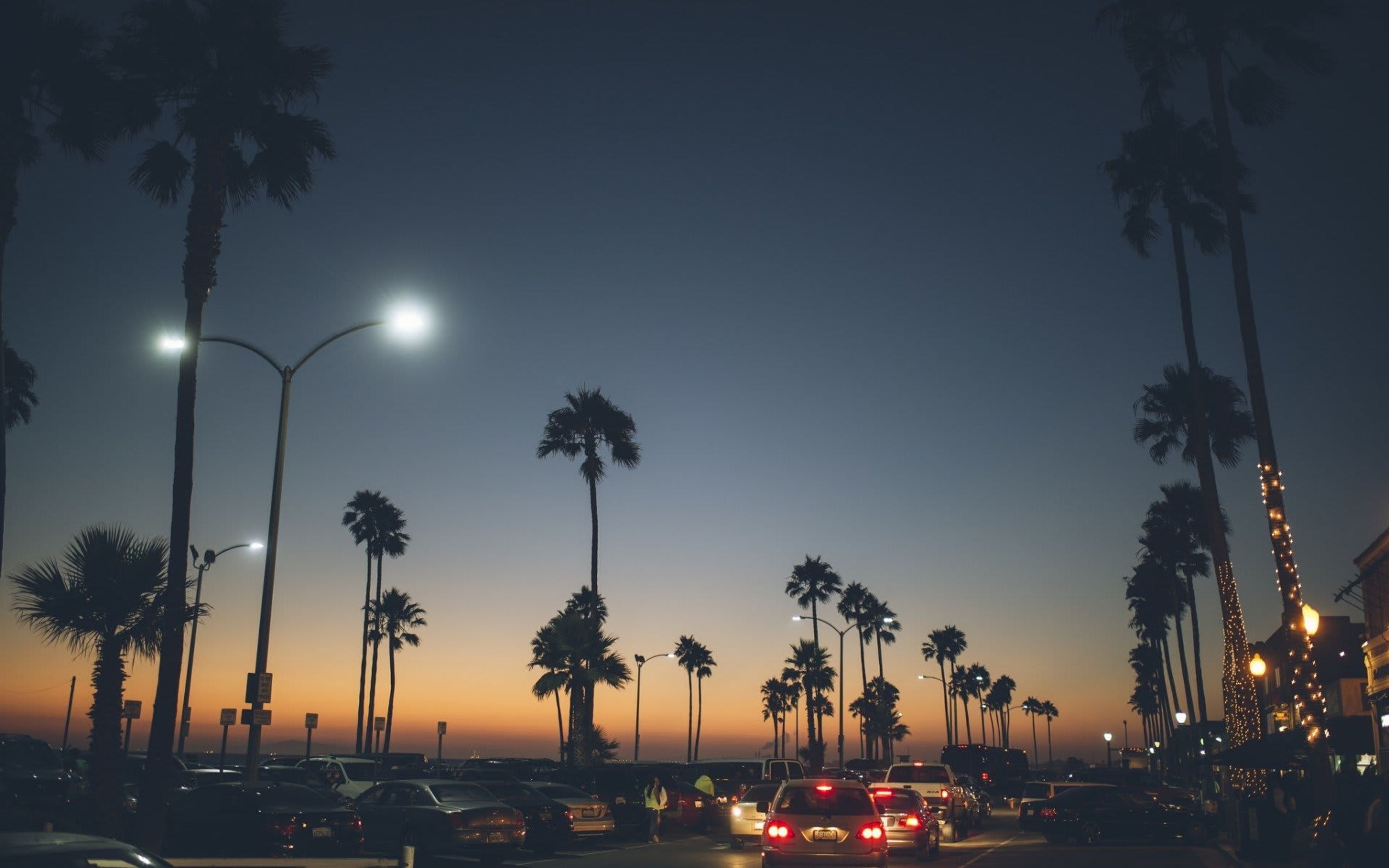 A street at dusk with palm trees and streetlights.