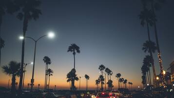 A street at dusk with palm trees and streetlights.