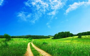 A dirt path leading through a lush green field with a clear blue sky above.