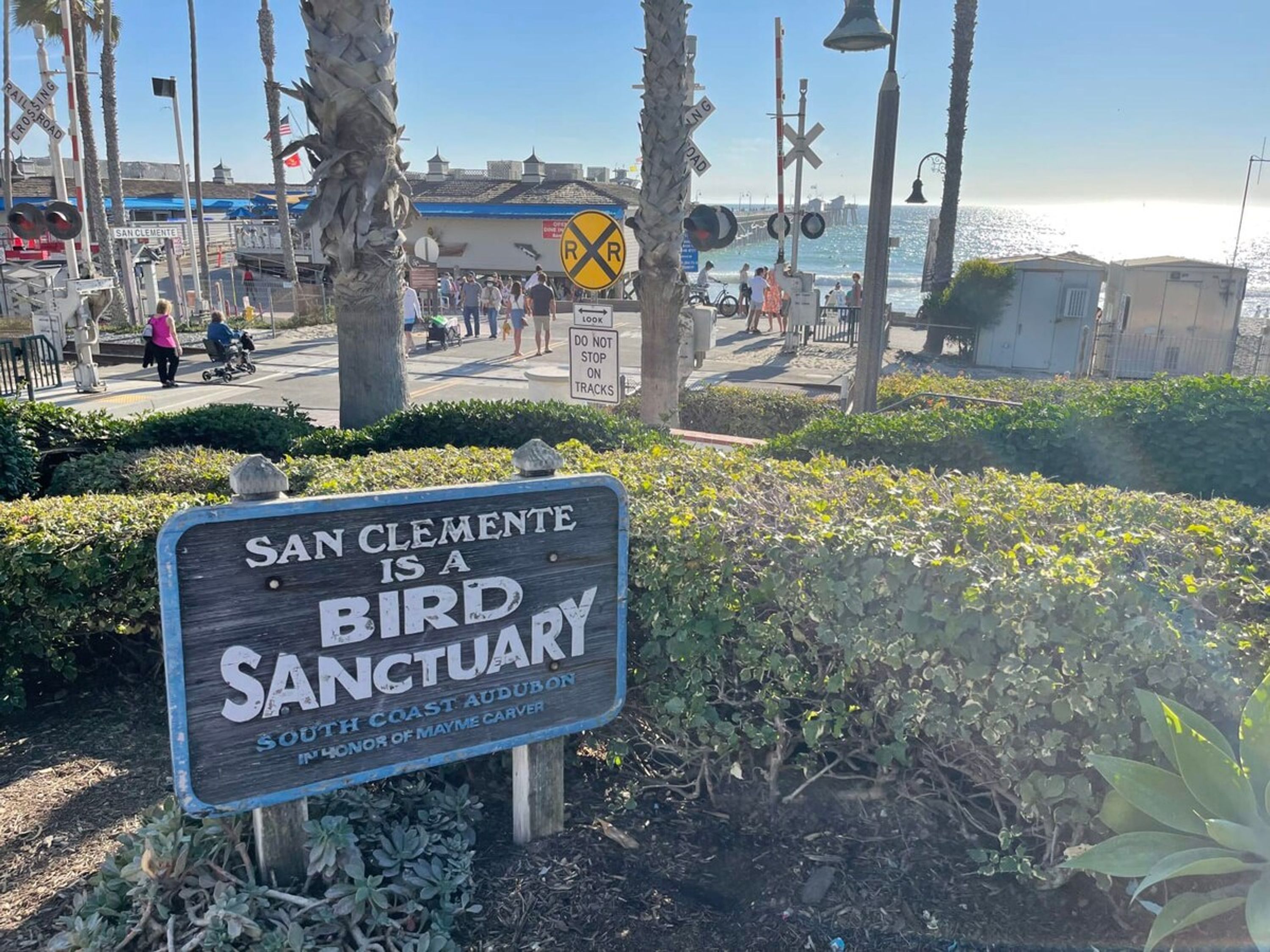 A sign stating 'San Clemente is a bird sanctuary' with a view of a beach and palm trees in the background.