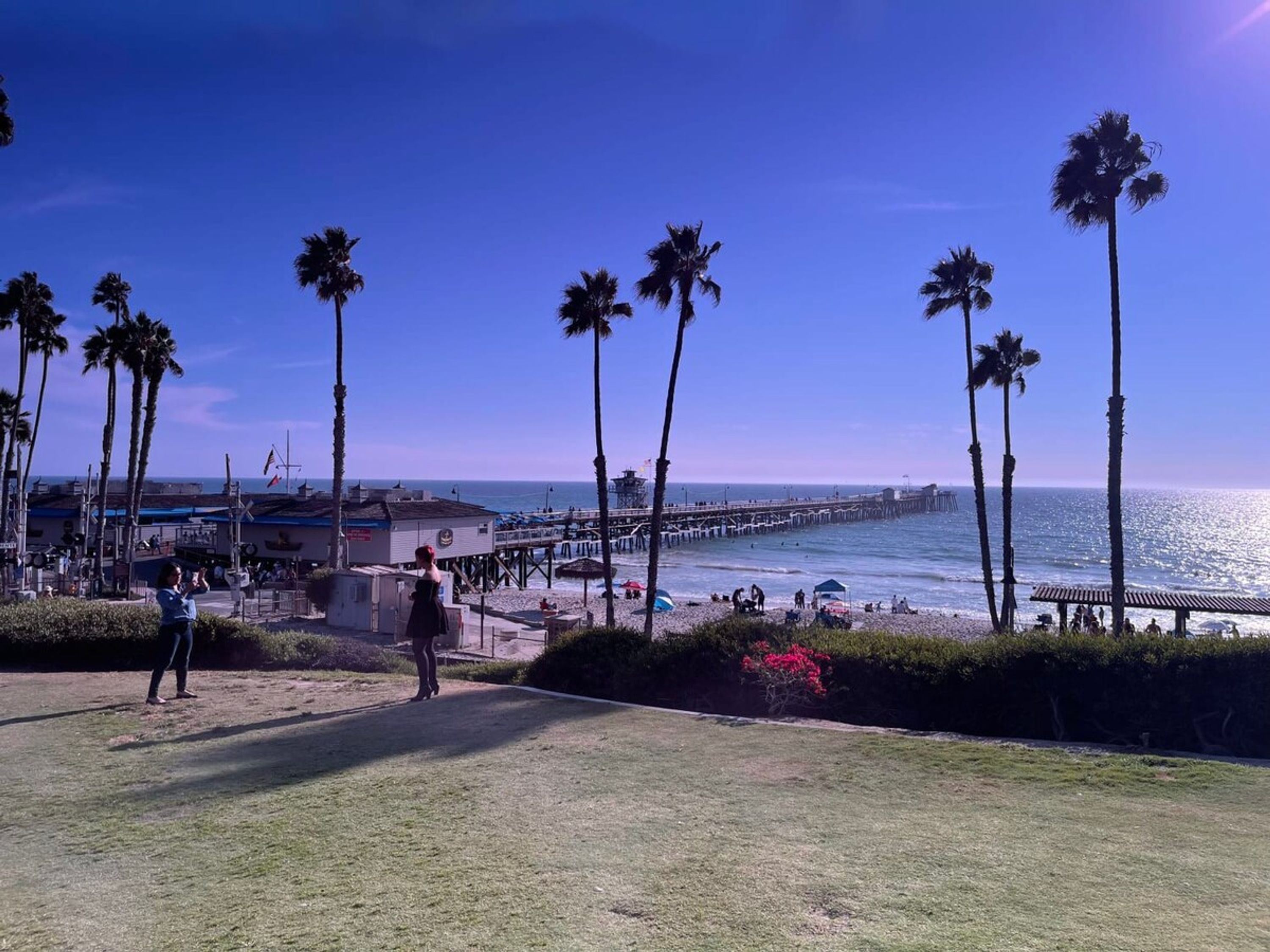 Une vue sur la plage, avec des palmiers, une jetée et un bâtiment portant une enseigne.