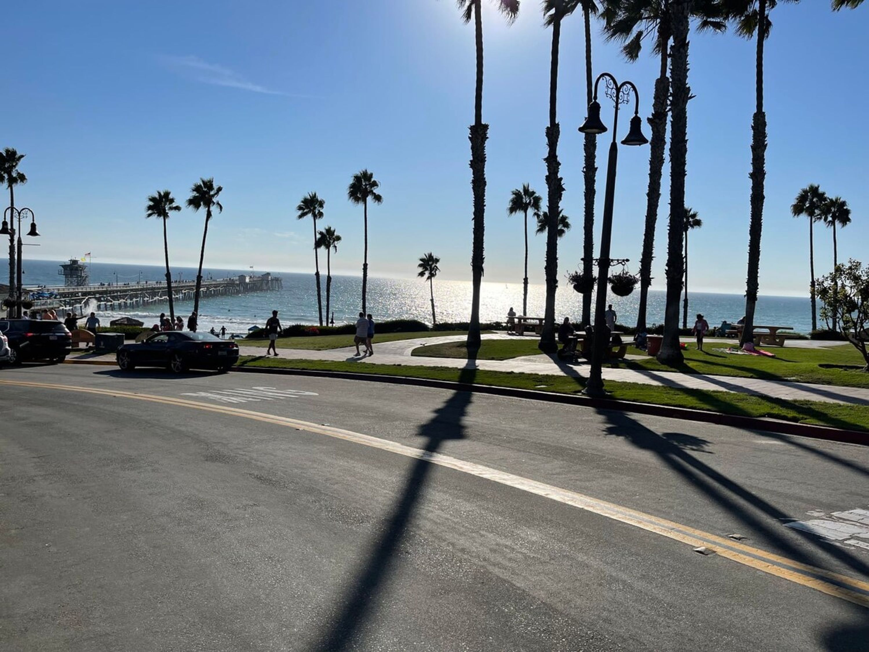 A coastal road with palm trees, a pedestrian path, and a pier in the background.