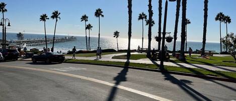 A coastal road with palm trees, a pedestrian path, and a pier in the background.