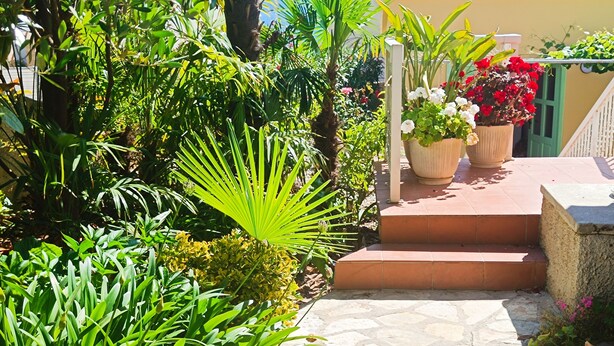 A stone staircase leading to a door with a green frame, surrounded by lush greenery and potted plants. - Seaside Garden Villa Kožino (Kožino)