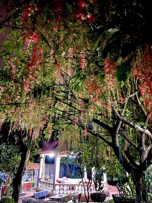 Jardim