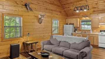 Smart TV, chimenea y libros