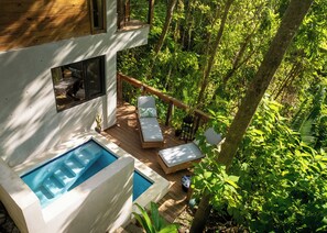 Outdoor pool, sun loungers