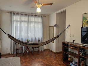 Une pièce avec un hamac, un téléviseur, une bibliothèque et un miroir.