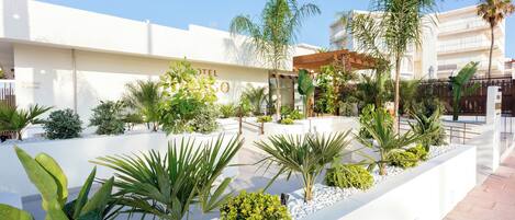 A hotel courtyard with a white wall, palm trees, and a variety of plants.