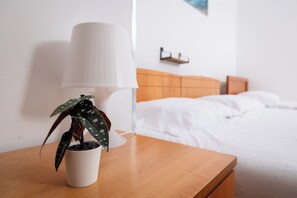 1 Schlafzimmer, Bügeleisen/Bügelbrett, Reisekinderbett, kostenloses WLAN