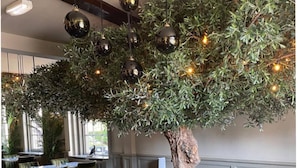 Een restaurant met groen gestoffeerde zitplaatsen, een boom als middelpunt en hanglampen.