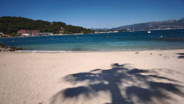 A beach with clear blue water, a sandy shore, and a shadow of a palm tree. - Lovely, large 2-room through-hall apartment with incredible 180° view of the harbour. (Saint-Mandrier-sur-Mer)