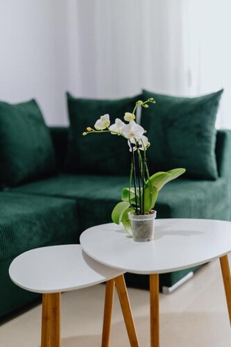 Κεντρικό Διαμέρισμα