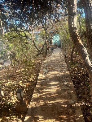 A stone pathway leading through a wooded area with trees and a green structure in the distance.