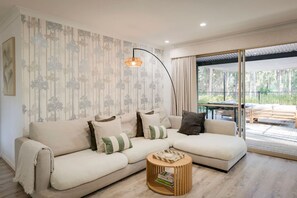 TV connectée, cheminée, chaîne hi-fi