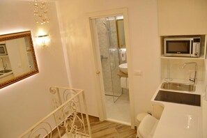 A compact hotel room with a shower, a sink, a microwave, and a mirror.
