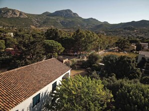 A building with a tiled roof, surrounded by trees and hills in the background. - Les Mûriers (Calvi)