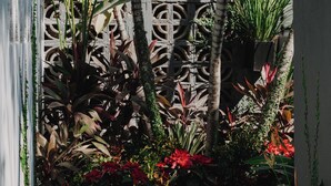 A narrow pathway flanked by lush tropical plants and a decorative metal fence. - Villa Cobojo (Bucerías)