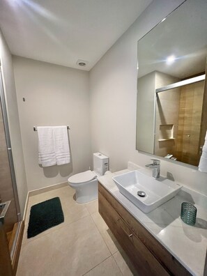 Features a sleek vanity, large mirror, and rectangular sink, along with a toilet and small rug.