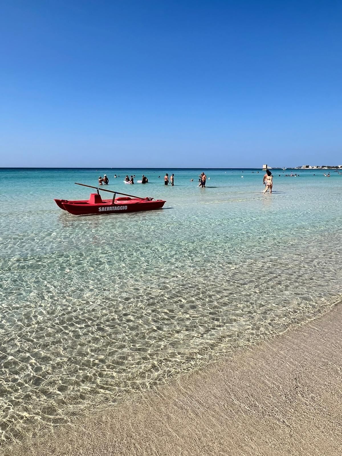 Lettini da mare